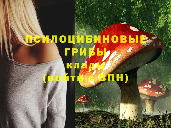 а пвп мука Гусиноозёрск