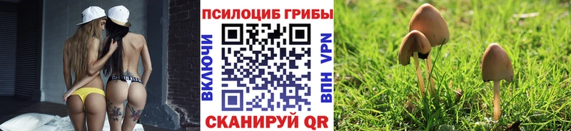 Псилоцибиновые грибы MAGIC MUSHROOMS  как найти закладки  Сольвычегодск 